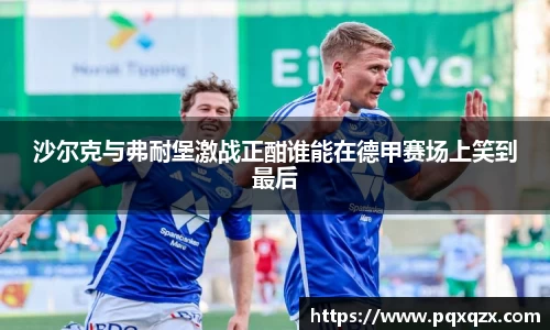 沙尔克与弗耐堡激战正酣谁能在德甲赛场上笑到最后